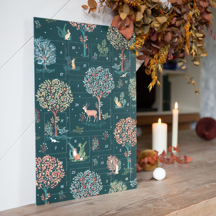 Calendrier de l'Avent Conte de Noël