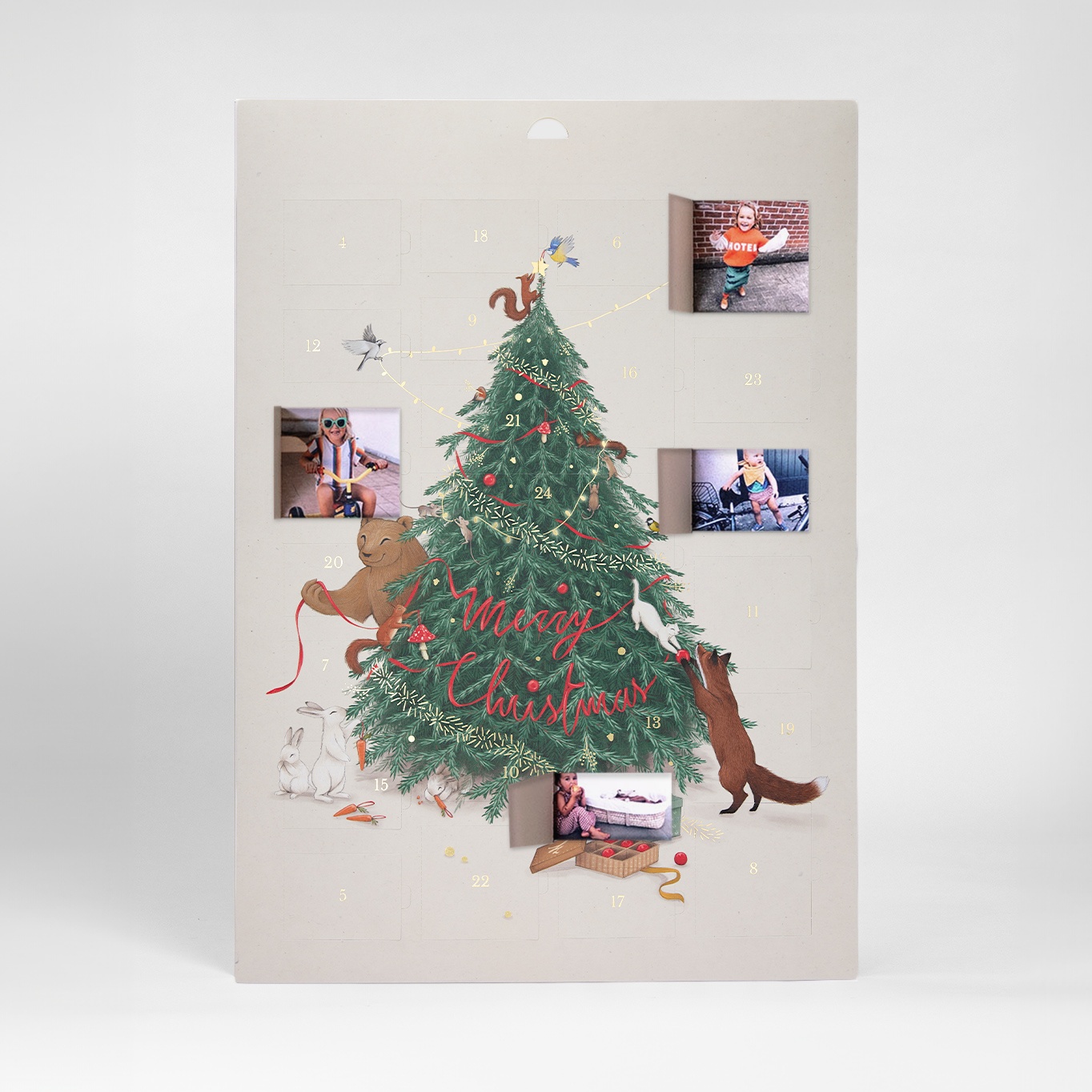 Le Noël des animaux