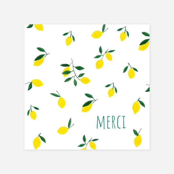 Agrumes crayonnées II