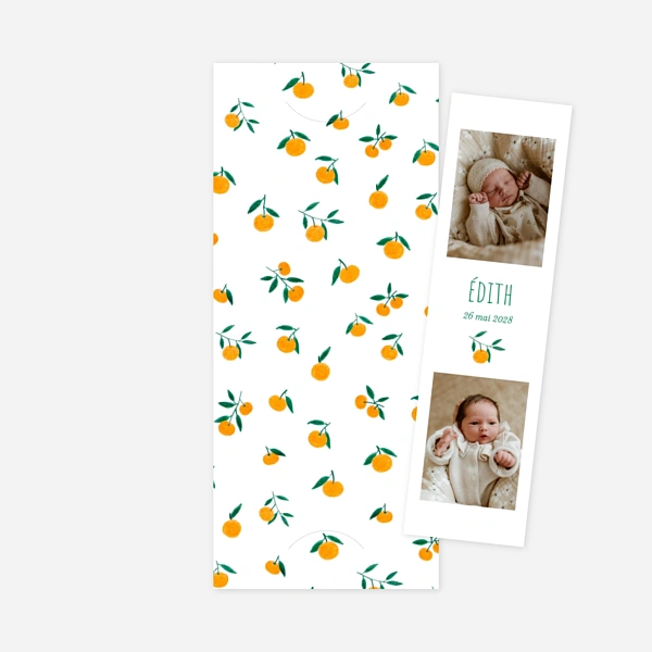 Agrumes crayonnées II