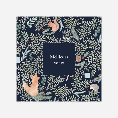 Balade d'hiver Balade d'hiver