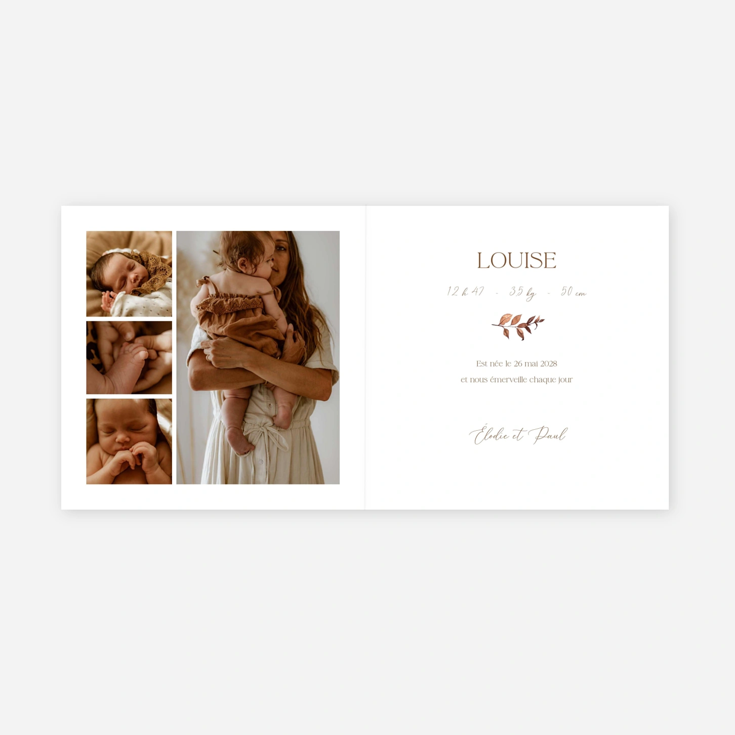 Faire-part naissance Bouton de Rose