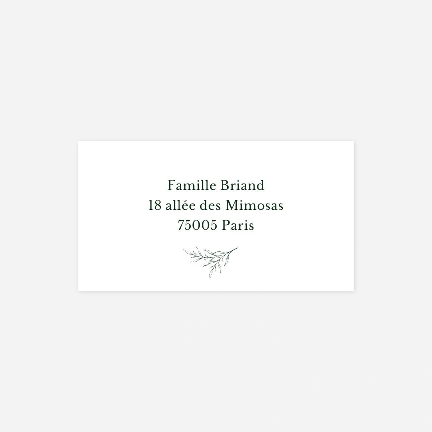 Étiquette destinataire voeux Botanique raffinée