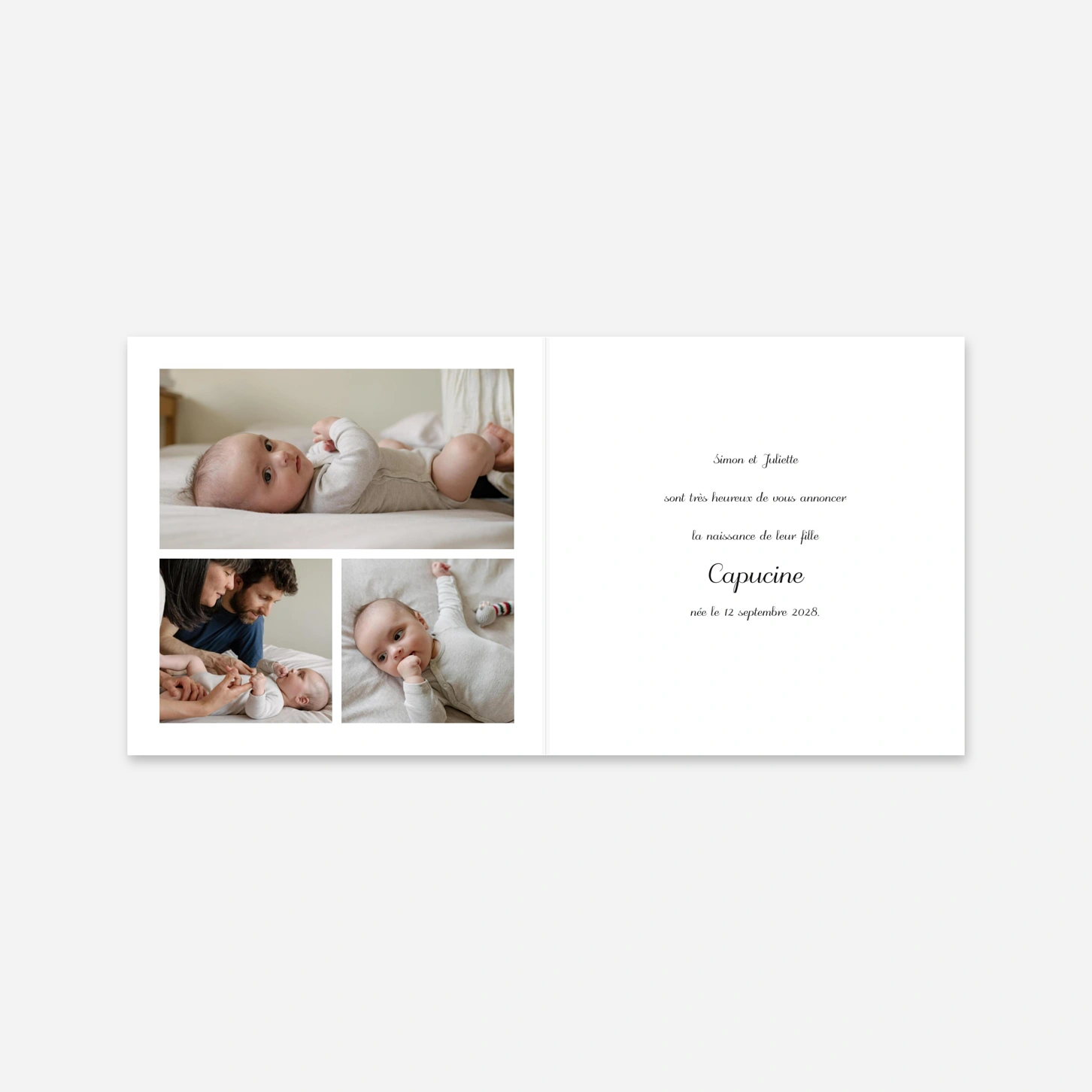 Faire-part naissance Brins d'hiver