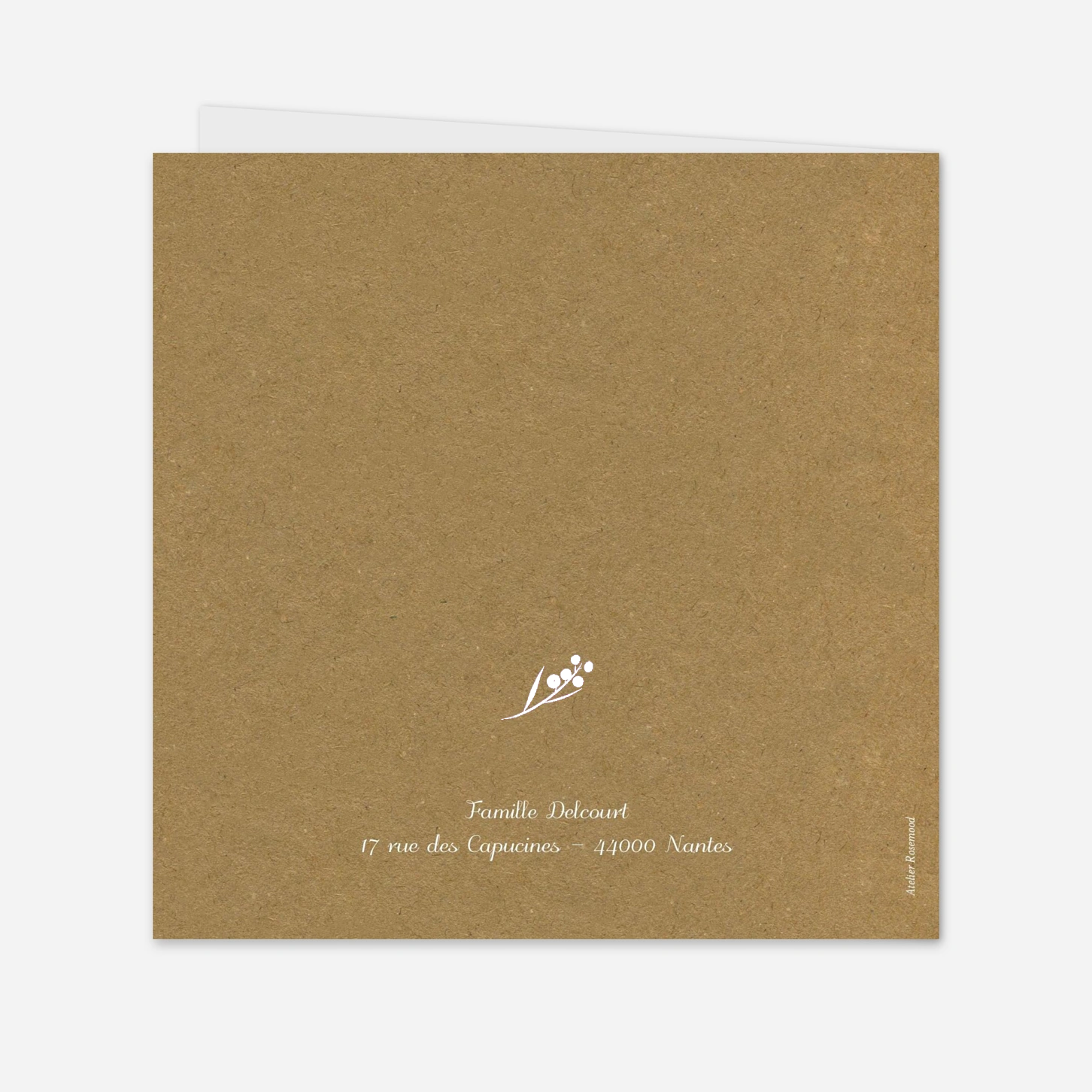Faire-part naissance Brins d'hiver