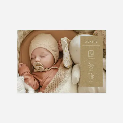 Faire-part naissance Cartouche pictos