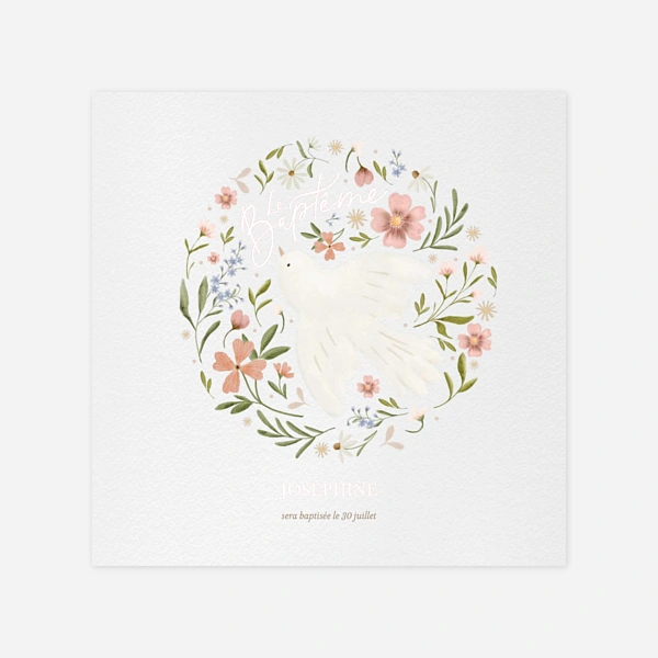 Colombe de printemps