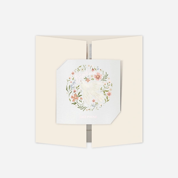 Colombe de printemps