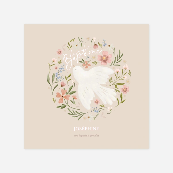 Colombe de printemps