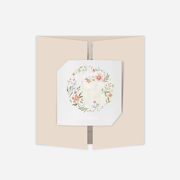 Colombe de printemps