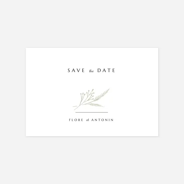 Délicats feuillages