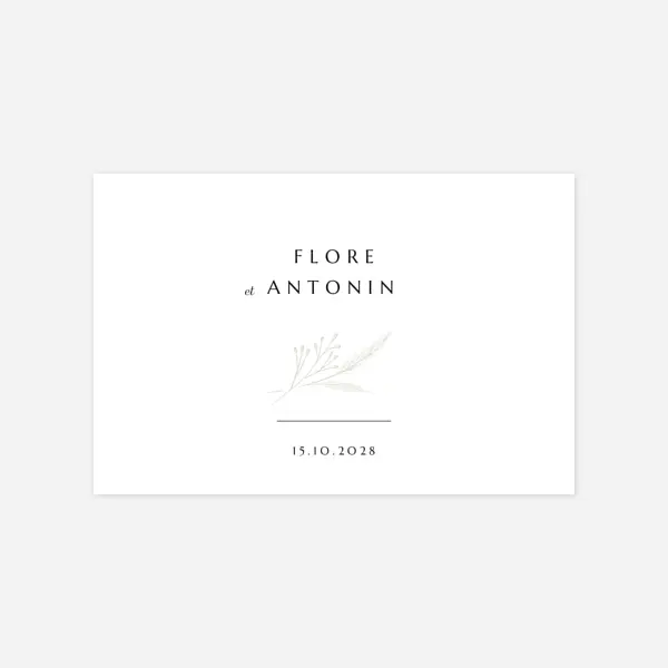 Délicats feuillages