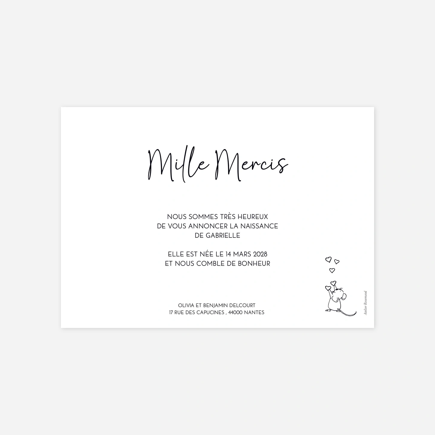 Faire-part naissance Doux compagnons