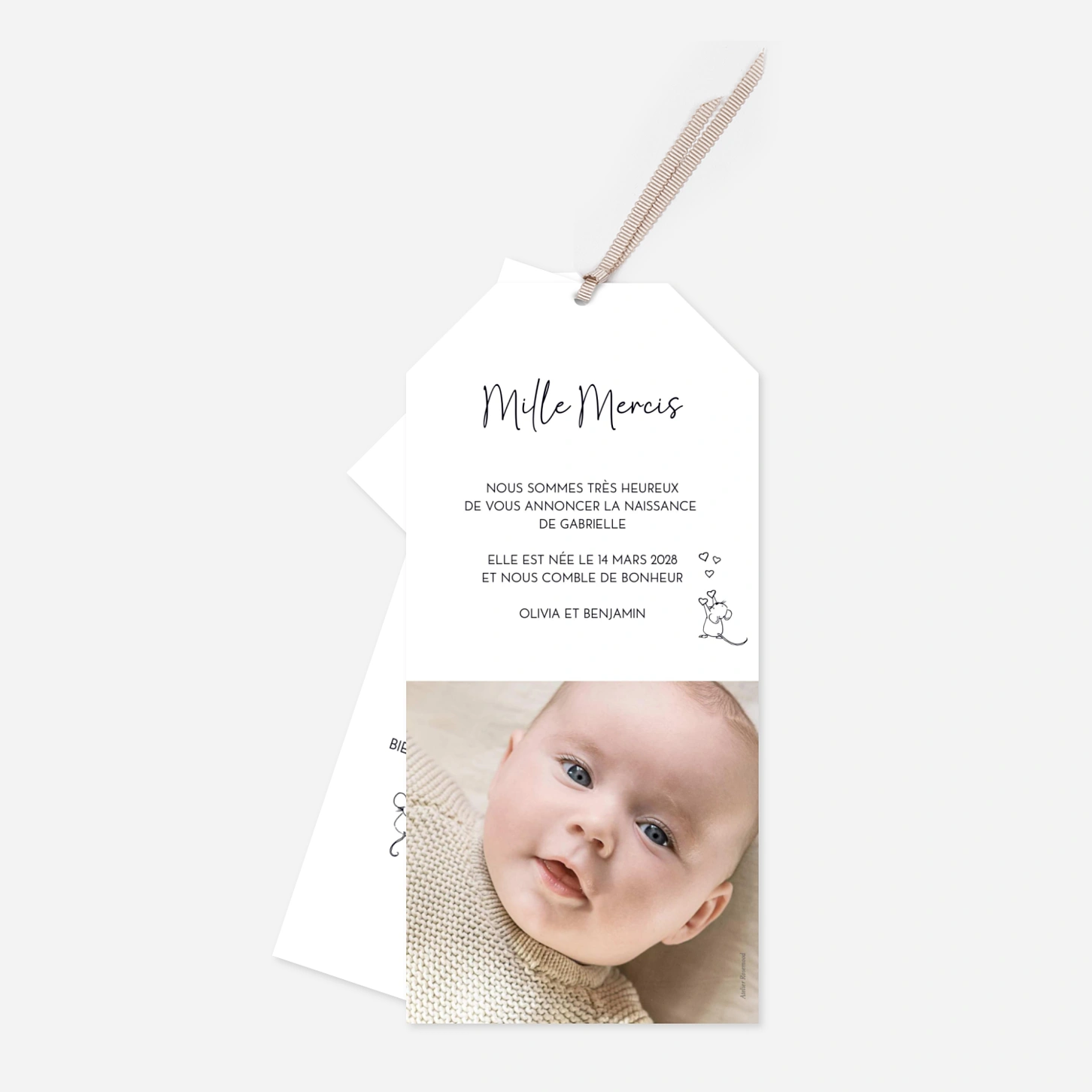 Faire-part naissance Doux compagnons