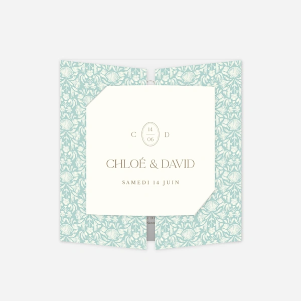 Élégant coquillage