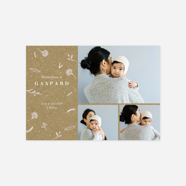 Élégant feuillage 3 photos