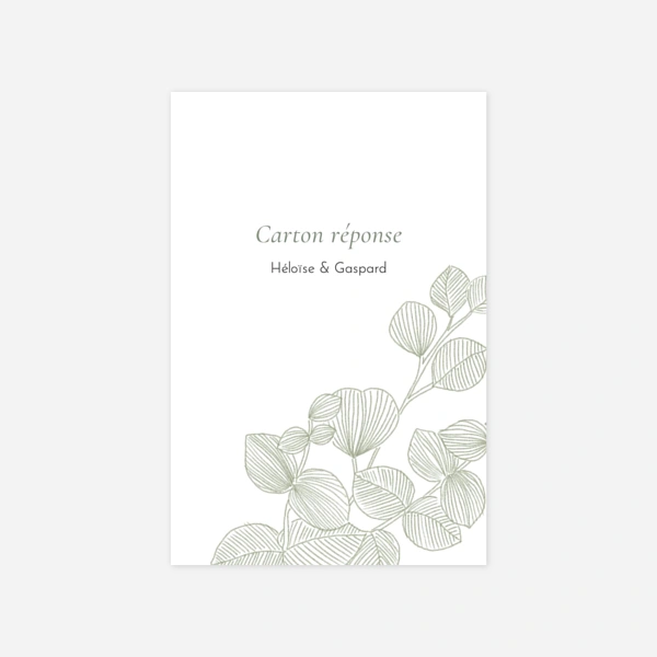 Envolée d'eucalyptus