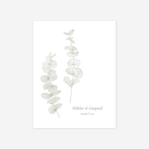 Envolée d'eucalyptus