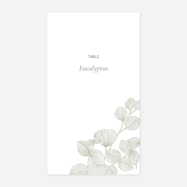 Envolée d'eucalyptus
