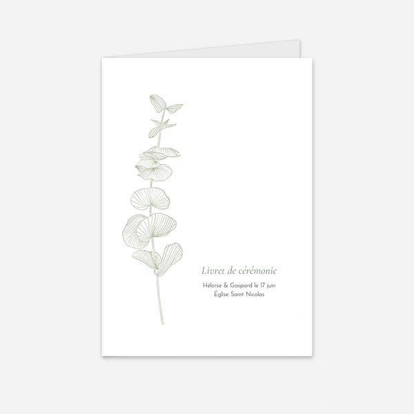 Envolée d'eucalyptus