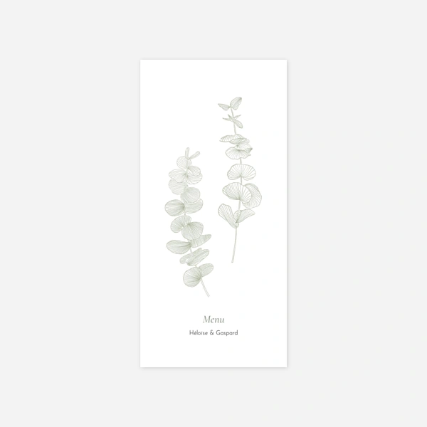 Envolée d'eucalyptus
