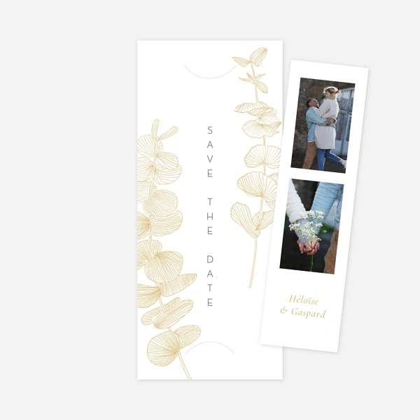 Envolée d'eucalyptus