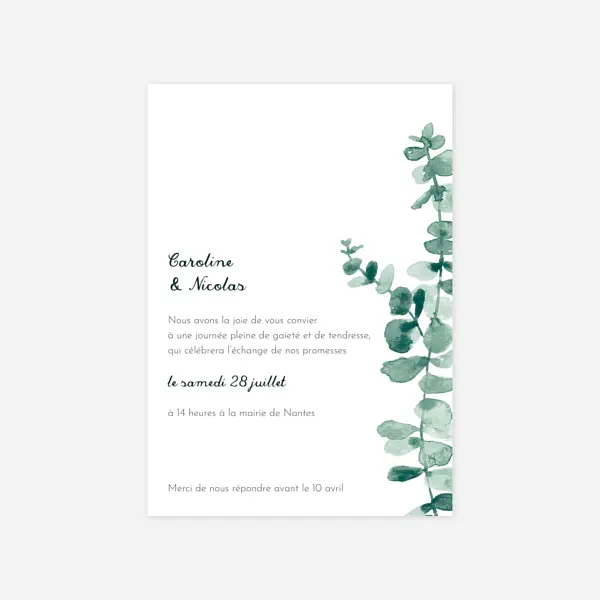 Eucalyptus