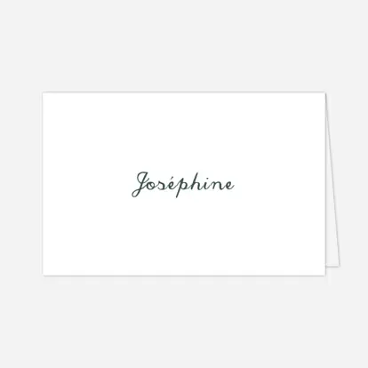 Marque-place mariage Eucalyptus
