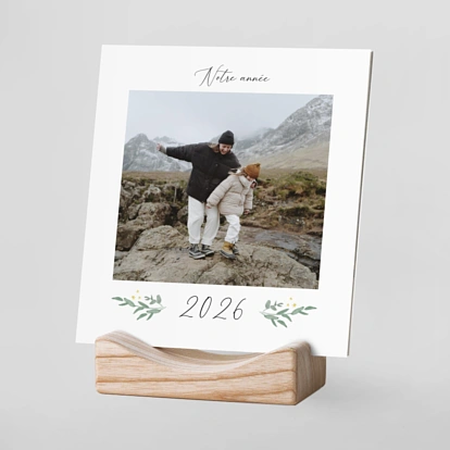 Eucalyptus élégant