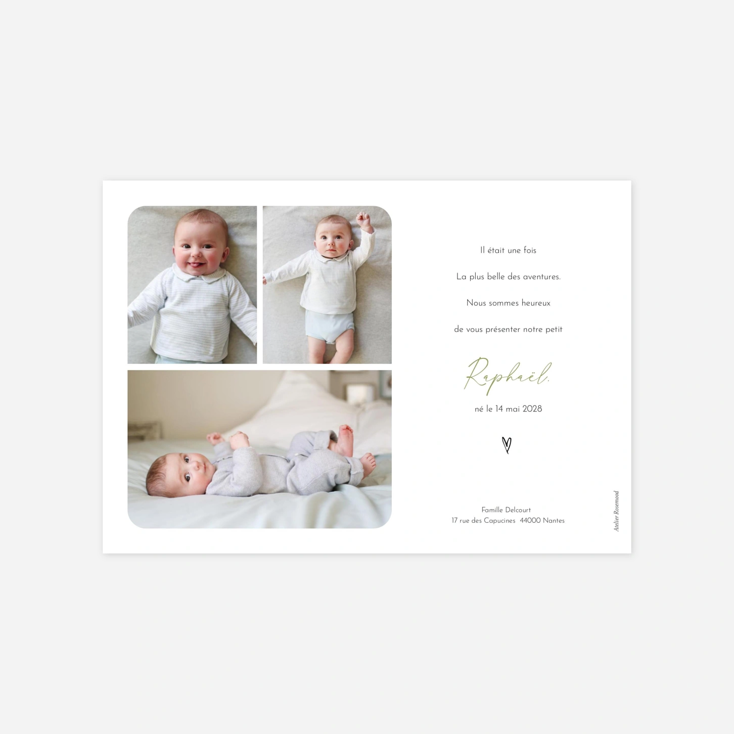 Faire-part naissance Famille dans le jardin