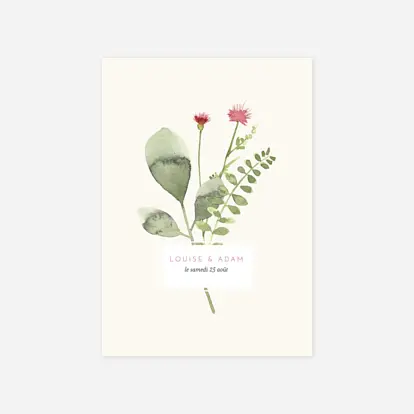 Eucalyptus Fleurs aquarelle herbier