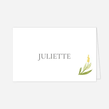 Marque-place Baptême Gaieté