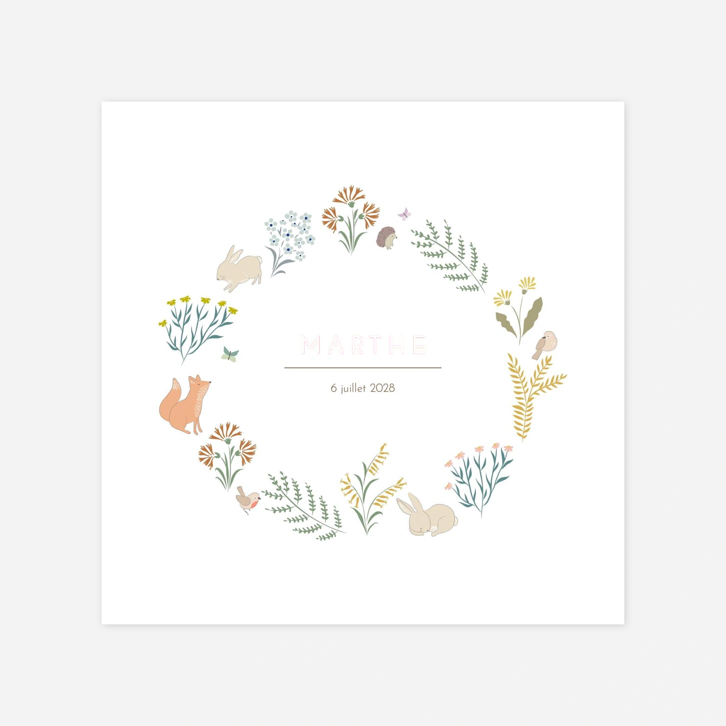 Faire-part naissance Galipette