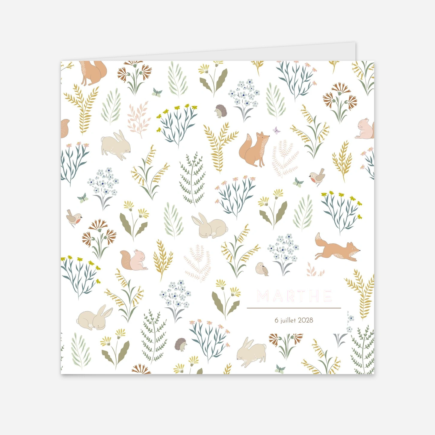 Faire-part naissance Galipette