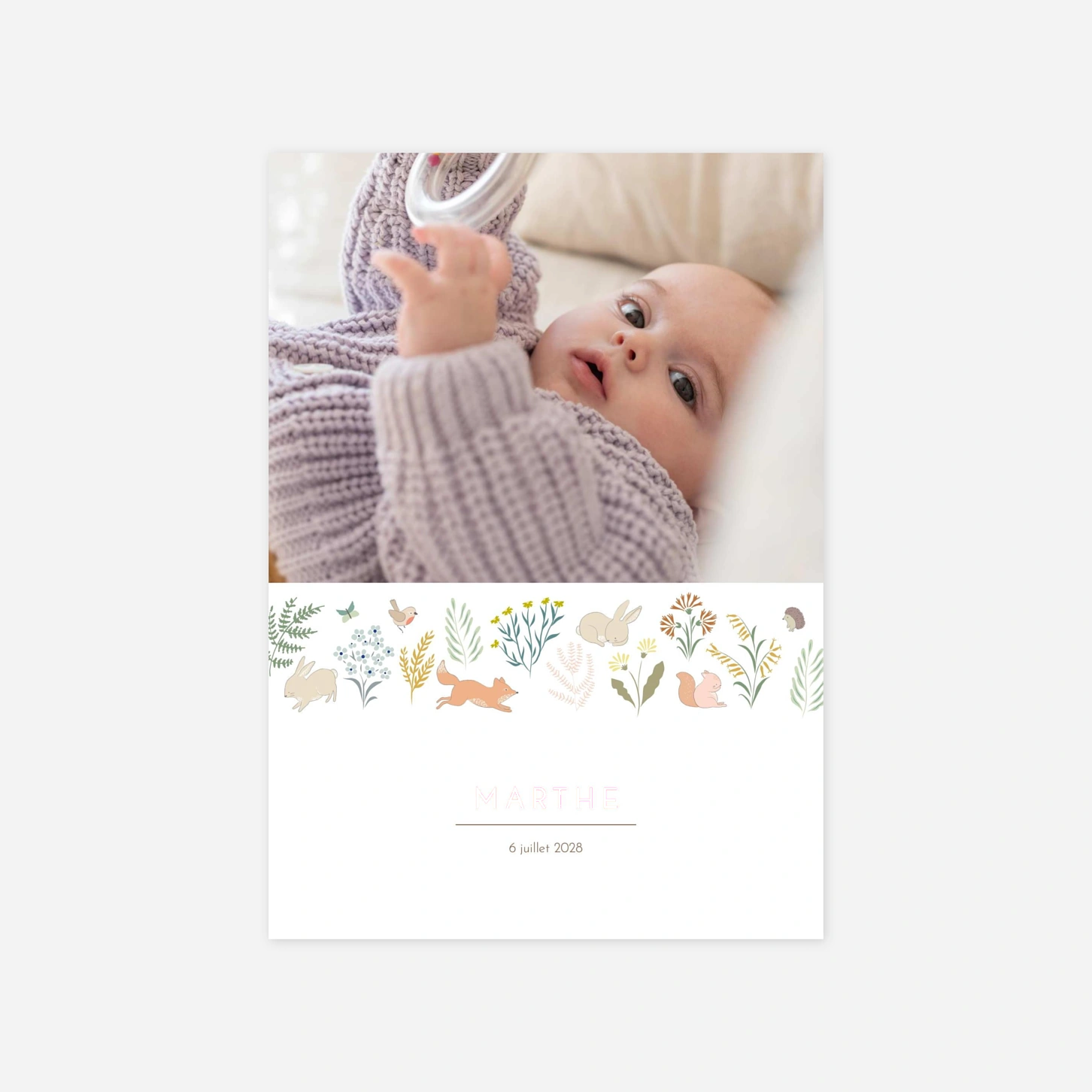 Faire-part naissance Galipette