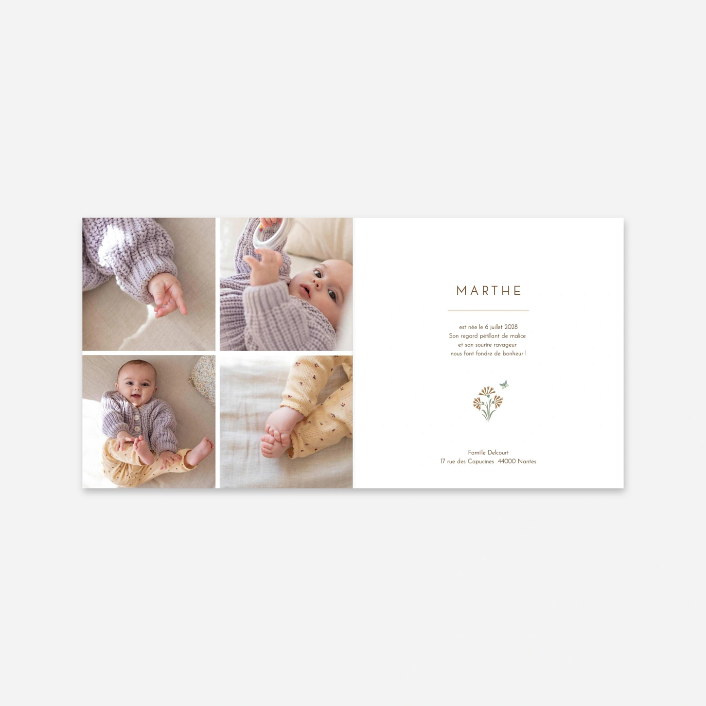 Faire-part naissance Galipette