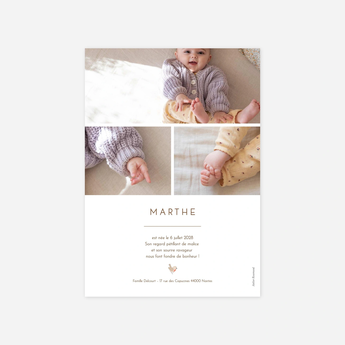 Faire-part naissance Galipette