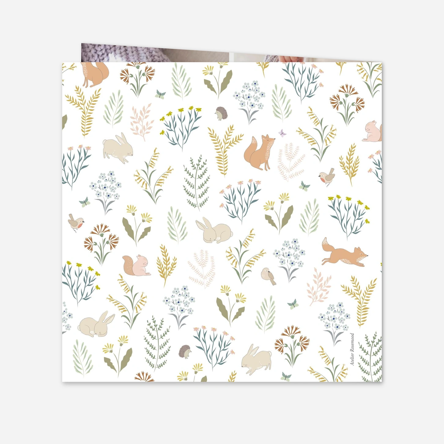 Faire-part naissance Galipette