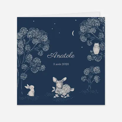 Faire-part naissance Histoire du soir