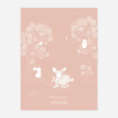 Affiche Histoire du soir