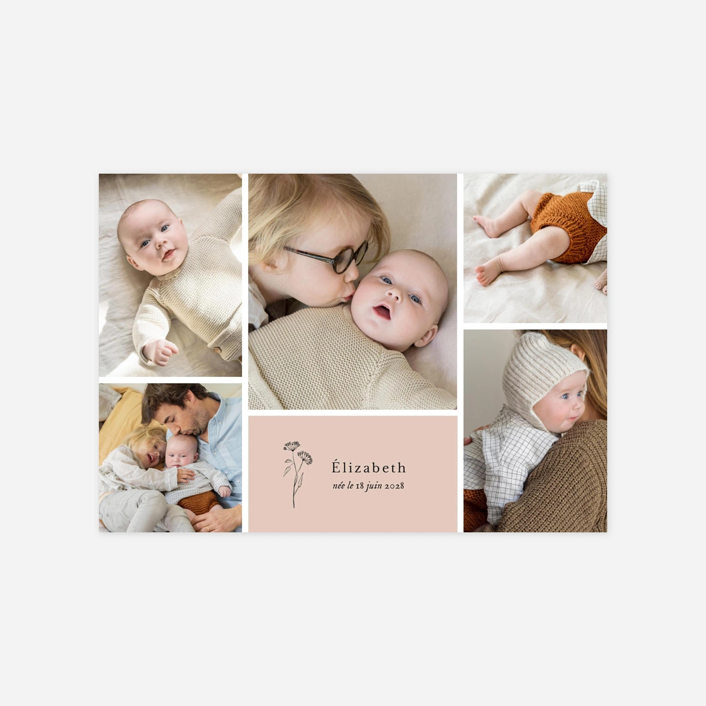 Faire-part naissance Herbier