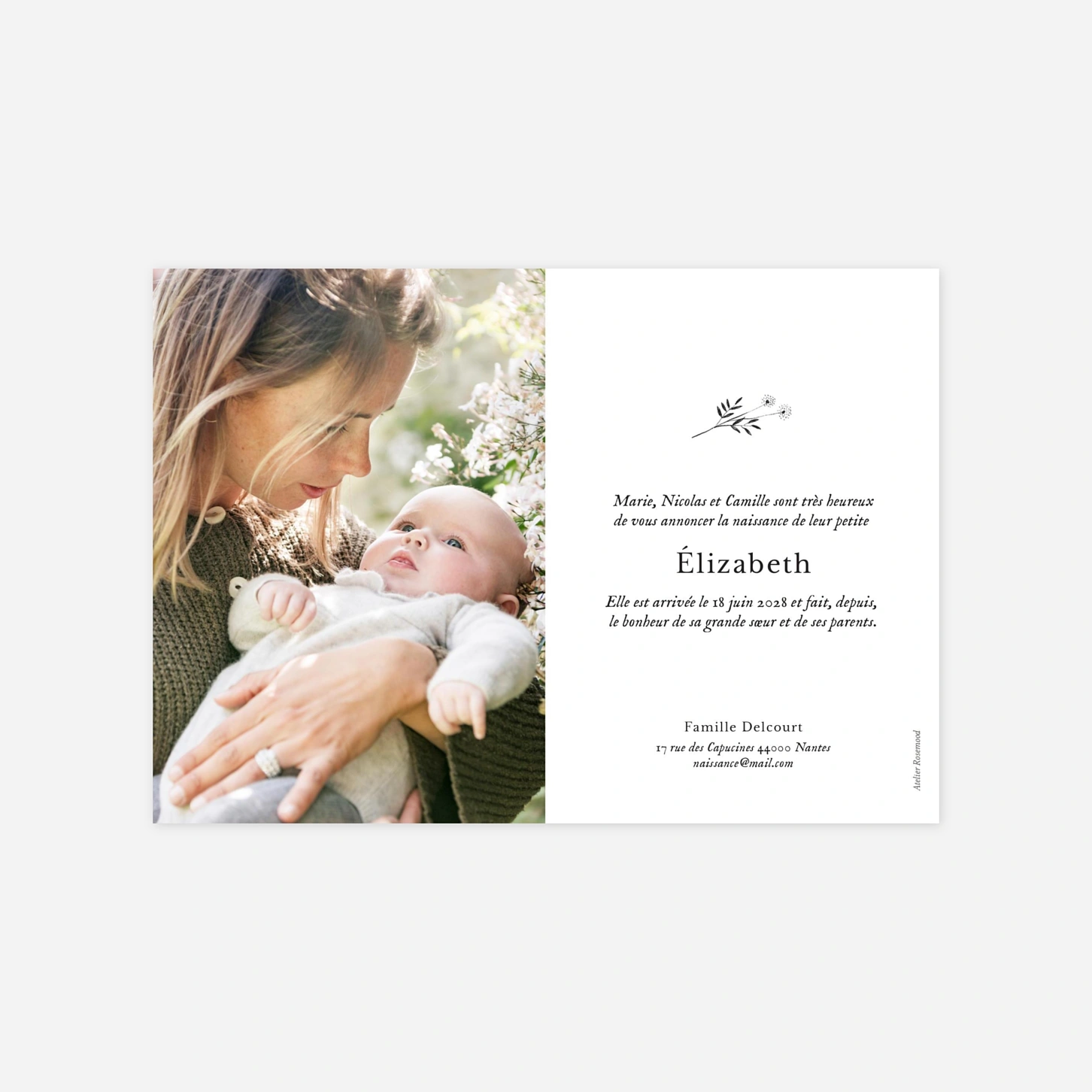 Faire-part naissance Herbier