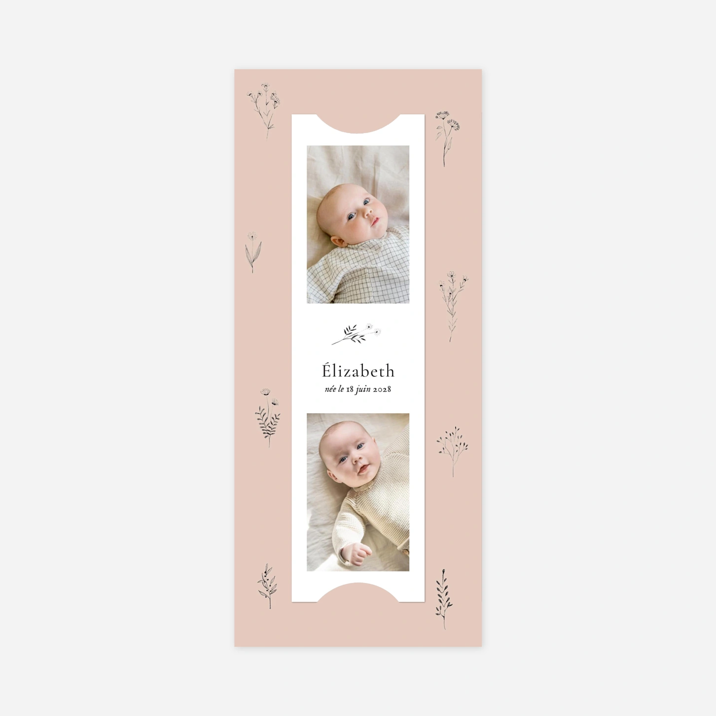 Faire-part naissance Herbier