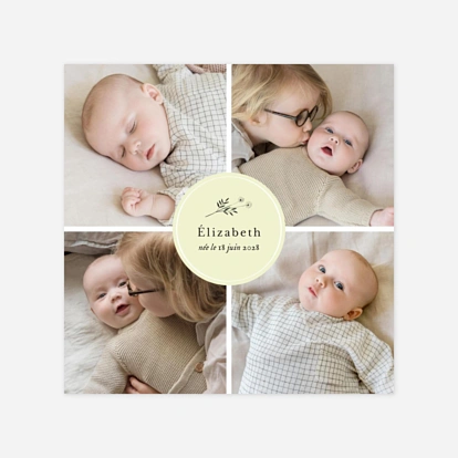 Faire-part de naissance Herbier