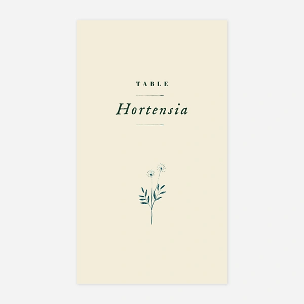 Herbier