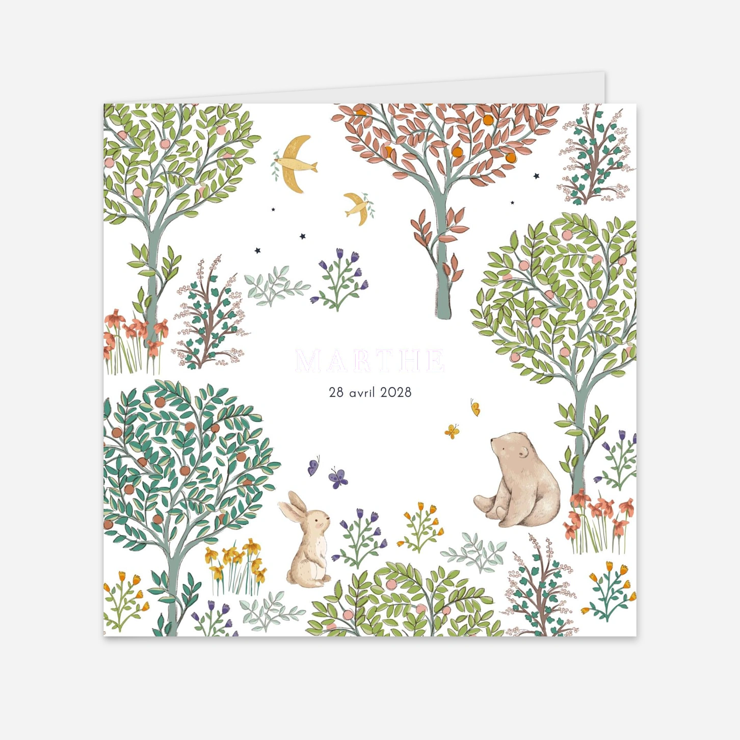 Faire-part naissance Histoire du jardin