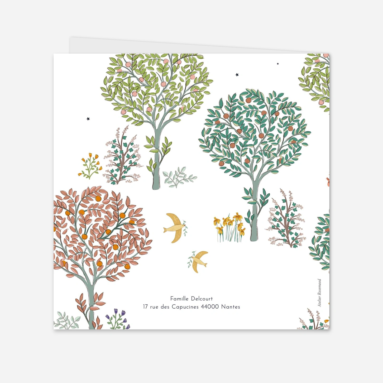 Faire-part naissance Histoire du jardin