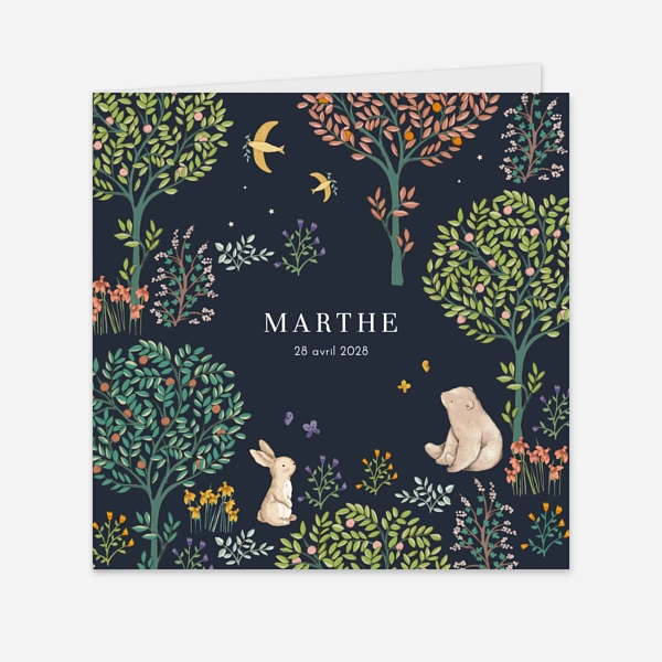 Histoire du jardin