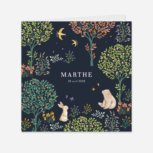 Histoire du jardin
