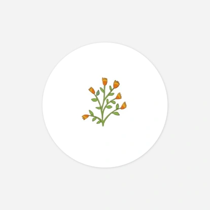 Stickers naissance Histoire du jardin